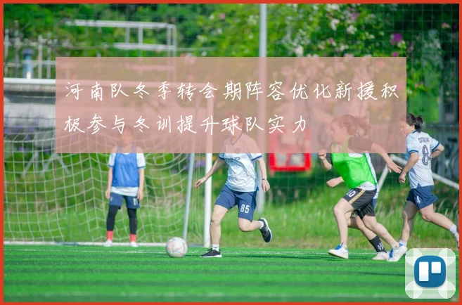 河南队冬季转会期阵容优化新援积极参与冬训提升球队实力