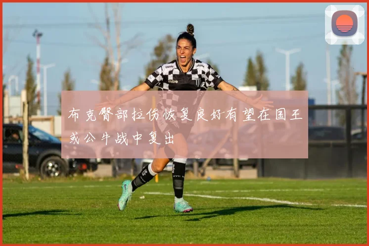 布克臀部拉伤恢复良好有望在国王或公牛战中复出