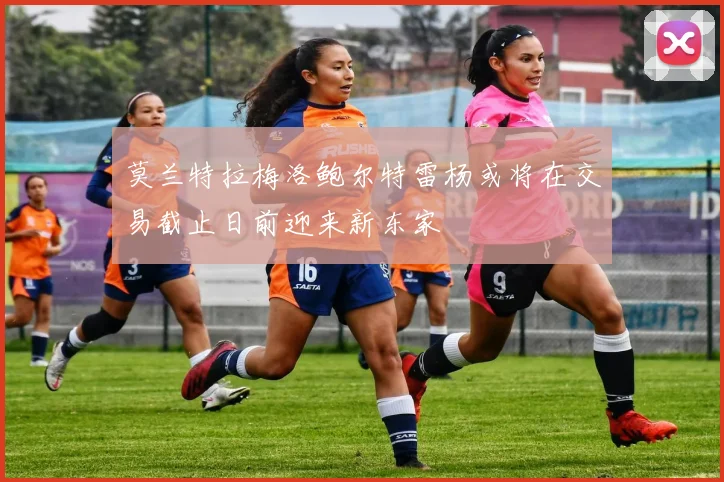 莫兰特拉梅洛鲍尔特雷杨或将在交易截止日前迎来新东家