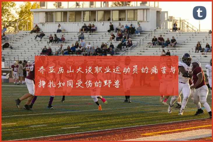 乔亚历山大谈职业运动员的痛苦与挣扎如同受伤的野兽